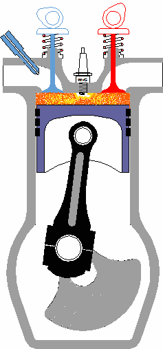 GI